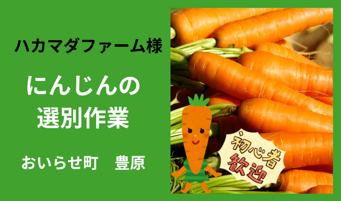「「 ハカマダファームさん」おいらせ町 🥕にんじん選別作業  7月お仕事カレンダー」のサムネイル