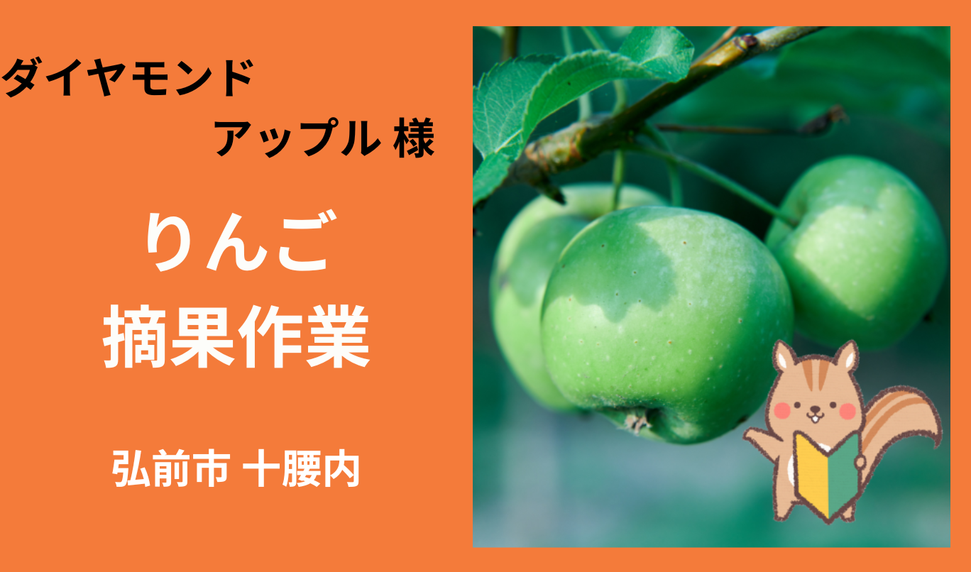 りんごページ ダイヤモンドアップルさん」弘前市十腰内 りんごの摘果作業 7月お仕事