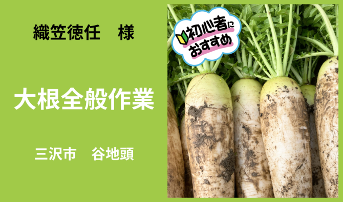 「「 織笠徳任 さん」三沢市 大根収穫全般作業【13時スタート】 6月お仕事カレンダー」のサムネイル