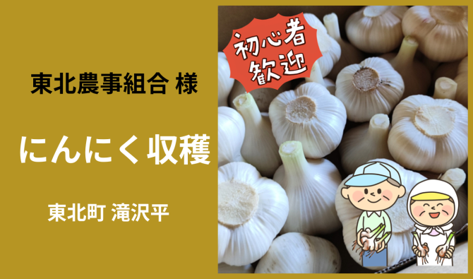 「「 東北農事組合さん」東北町  ニンニク収穫作業 6月お仕事カレンダー」のサムネイル