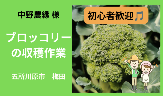 「「 中野農縁さん」五所川原市 ブロッコリーの収穫  7月お仕事カレンダー」のサムネイル