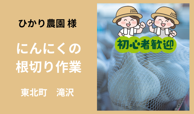 「「 ひかり農園さん」東北町滝沢平  ニンニクの根切り作業   6月お仕事カレンダー」のサムネイル
