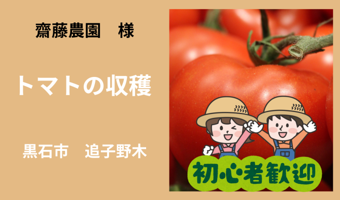 「「 齋藤農園さん」黒石市 追子野木　トマトの収穫作業　7月お仕事カレンダー」のサムネイル