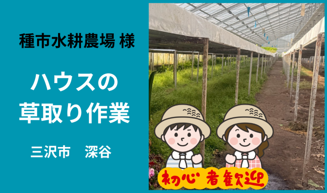 「「 種市水耕農場様」三沢市深谷 ハウスの草取り作業  7月お仕事カレンダー」のサムネイル