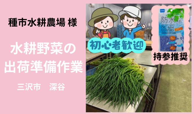 「「 種市水耕農場様」三沢市深谷 水耕野菜の出荷準備作業  7月お仕事カレンダー」のサムネイル