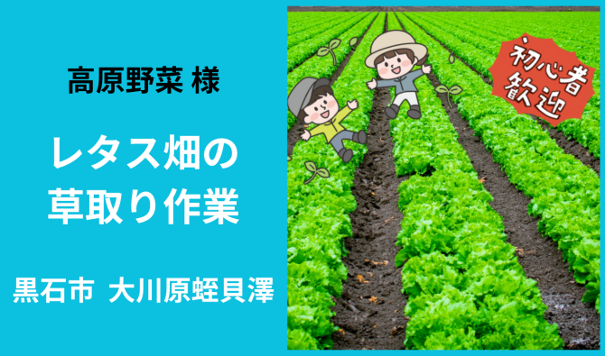 「　「高原野菜様」畑の草取り作業 7月のお仕事カレンダー」のサムネイル
