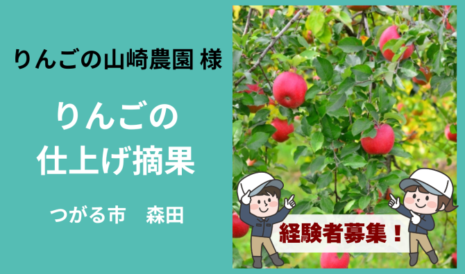 「　「りんごの山崎農園 様」りんごの仕上げ摘果作業等  8月のお仕事カレンダー」のサムネイル