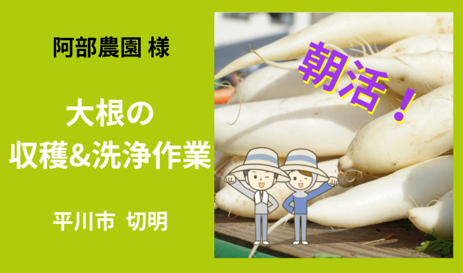 「「 阿部農園さん」平川市 切明温川沢　大根の収穫&洗浄作業　7月お仕事カレンダー」のサムネイル