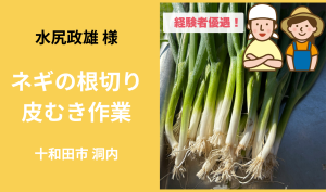 「　「水尻政雄 様」ネギの根切り・皮むき作業  8月のお仕事カレンダー」のサムネイル