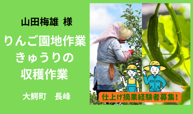 「「 山田梅雄さん」大鰐町 りんご園地&きゅうり収穫作業 8月お仕事カレンダー」のサムネイル